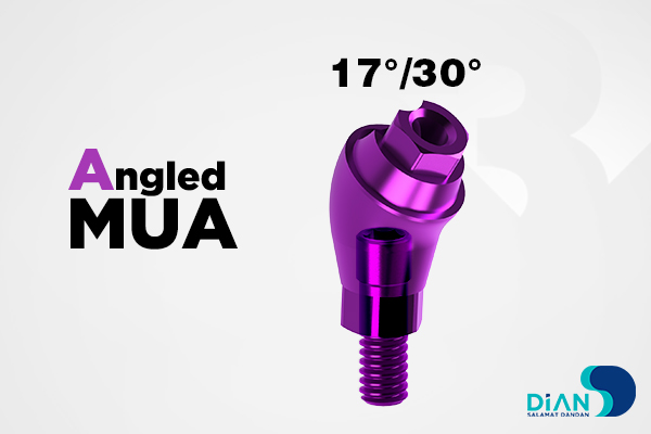 اباتمنت مولتی یونیت